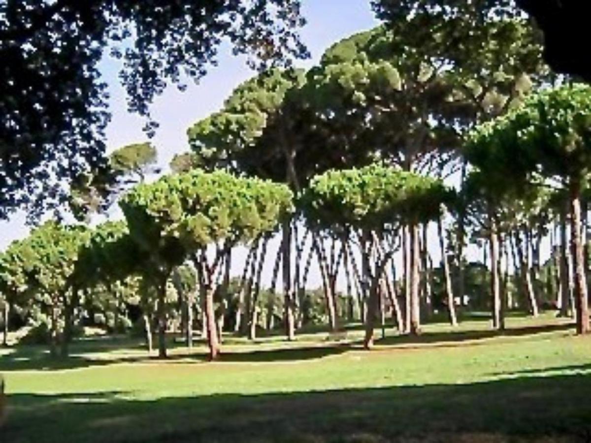 Gianicolo House Apartment Rome Bagian luar foto